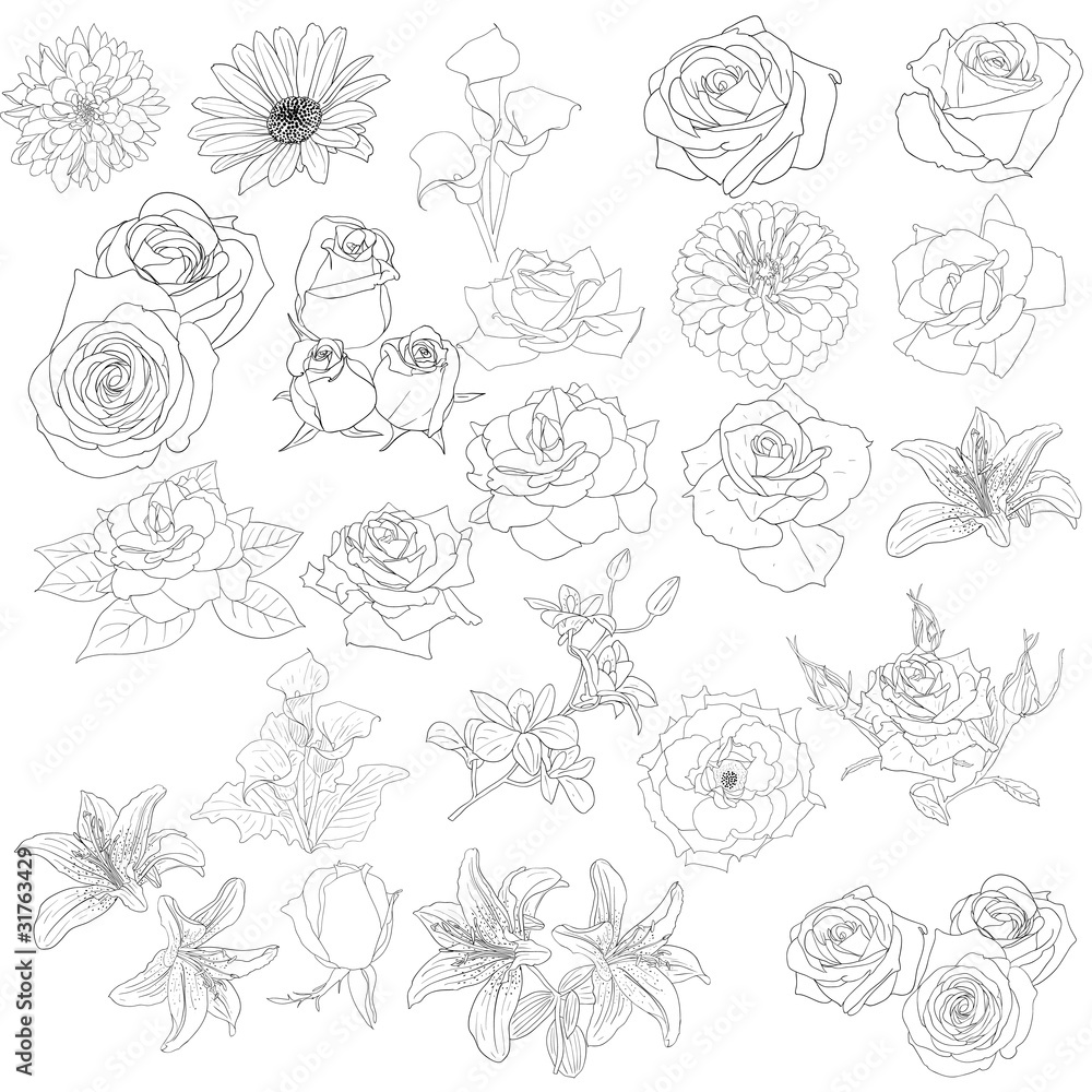Set of  in hand drawn style roses