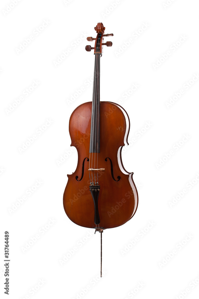 Obraz premium cello