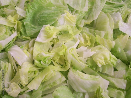 Eisberg- Salat- Gemüse