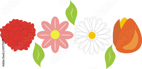 flores