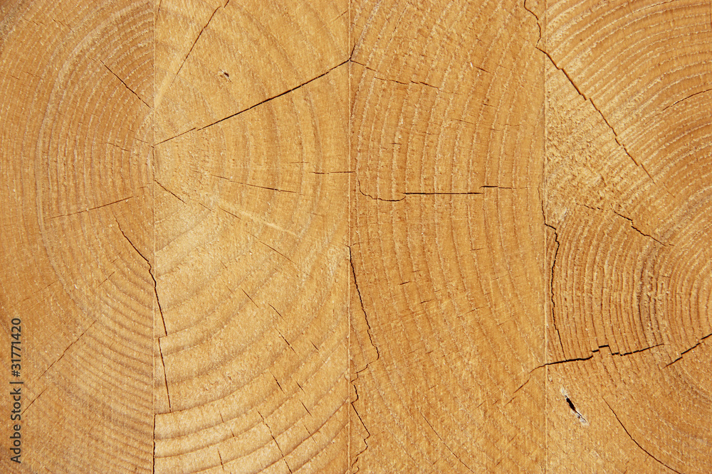 Fototapeta premium Wooden textured