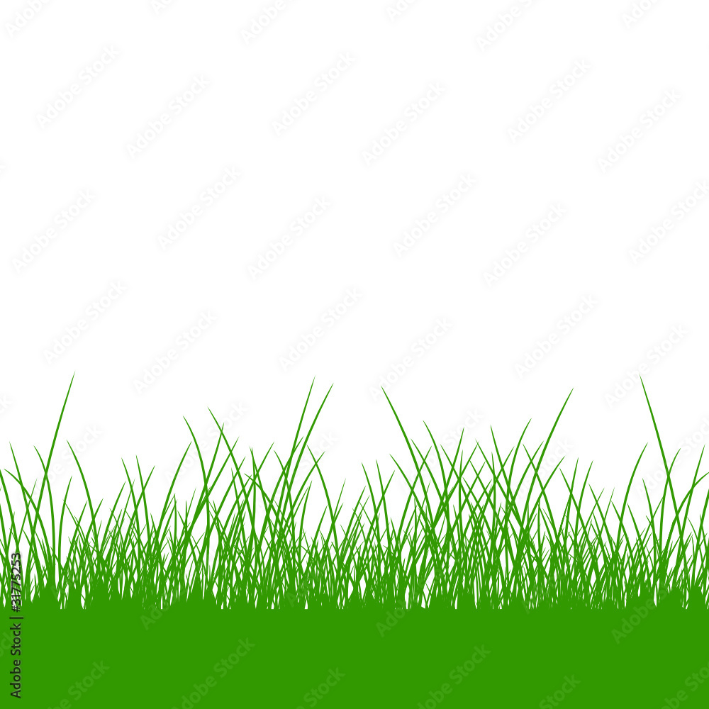 Fototapeta premium Green gras