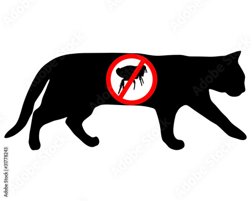 Katze Floh verboten