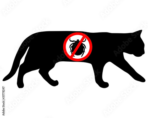 Zecke verboten bei Katze