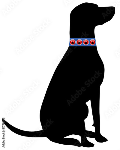 Hund Zeckenhalsband