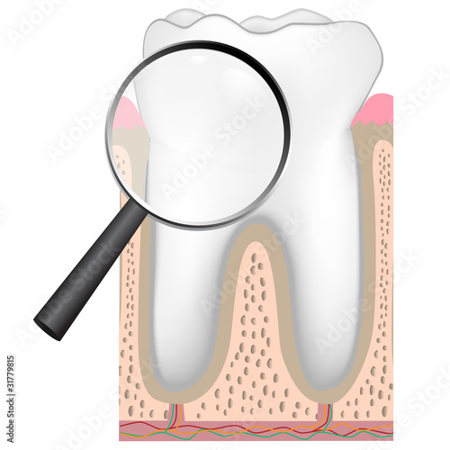 Dental checkup, eps8