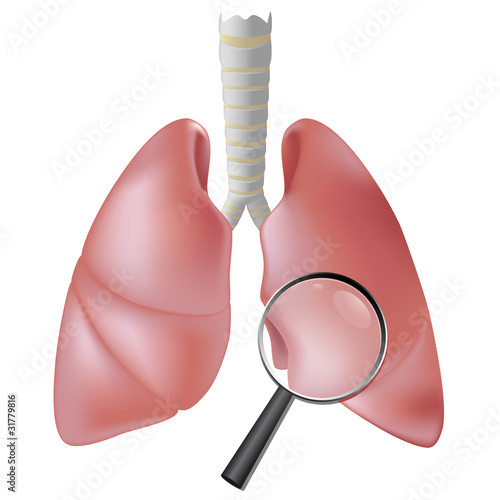 Lung checkup, eps8
