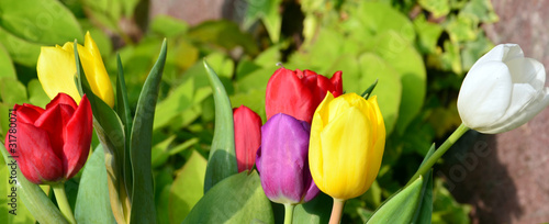 une tombe à fleurir photo