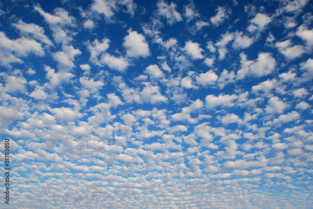 ciel ciel