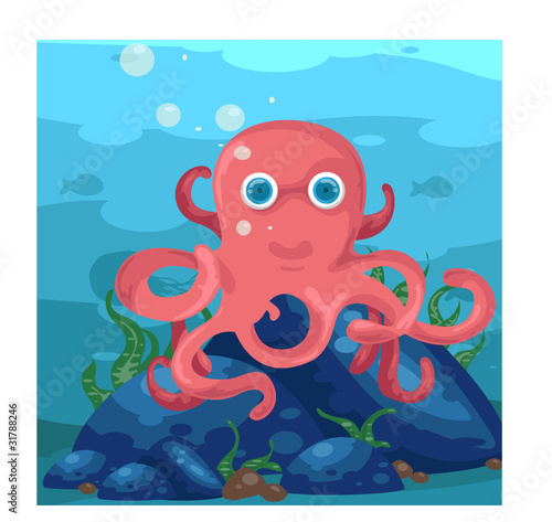 Octopus