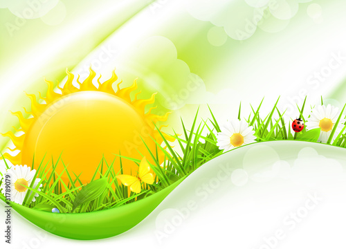 Nature Background, horizontal