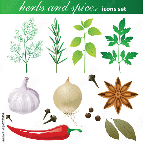 herbs and spices set