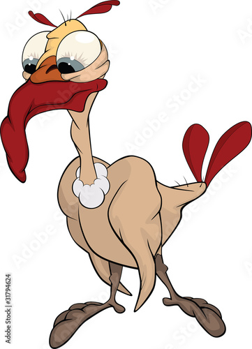 Turkey-cock. Cartoon