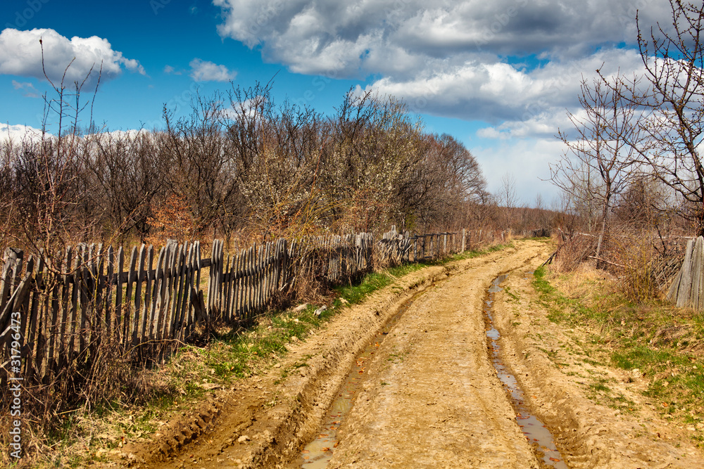 Rural landscape Rural landscape