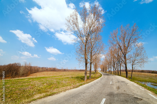 Wallpaper Mural Landscape with empty road Torontodigital.ca