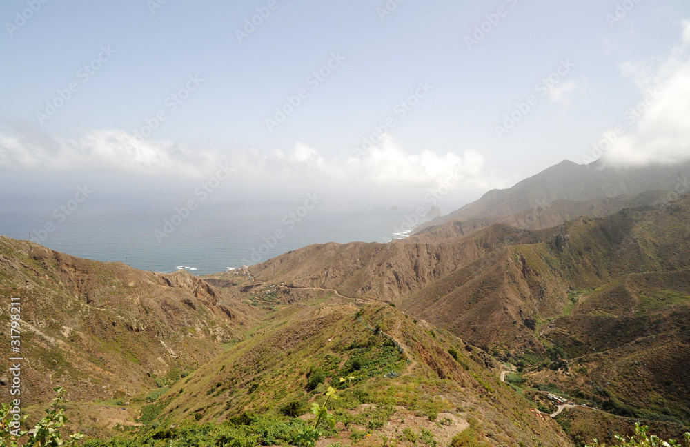 Fototapeta premium Almaciga