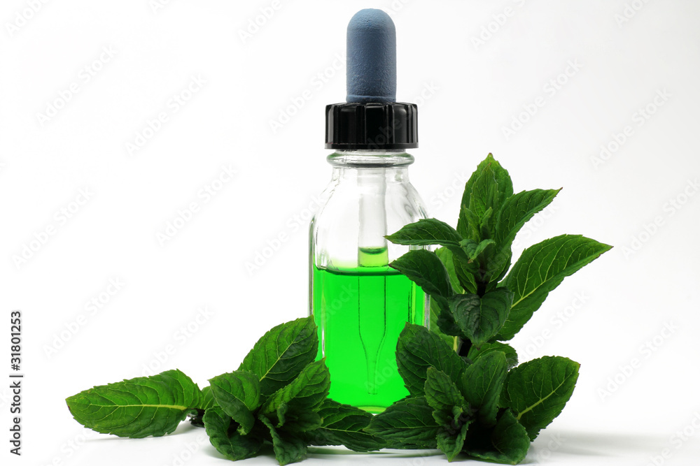 minze mit aromaflasche minze mit aromaflasche