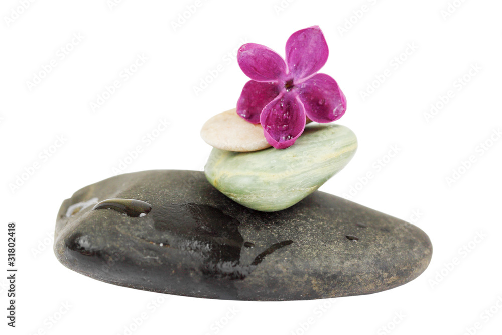 Fototapeta premium Spa stones