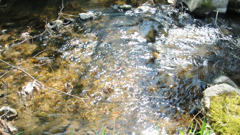 Wildbach Wildbach