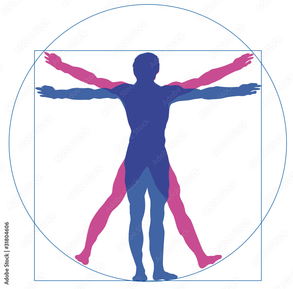 Der Mensch - Körper Stock Vector | Adobe Stock