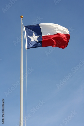 Texas flag flying on a sunny day