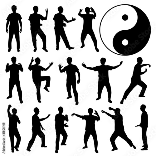 Martial Art Kung Fu Tai Chi Self Defense Man