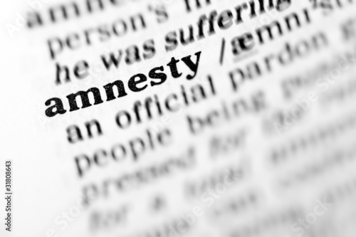 amnesty (the dictionary project)