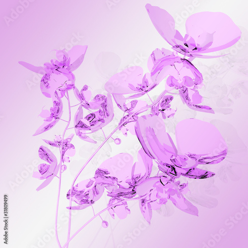 bouquet of pink orchids