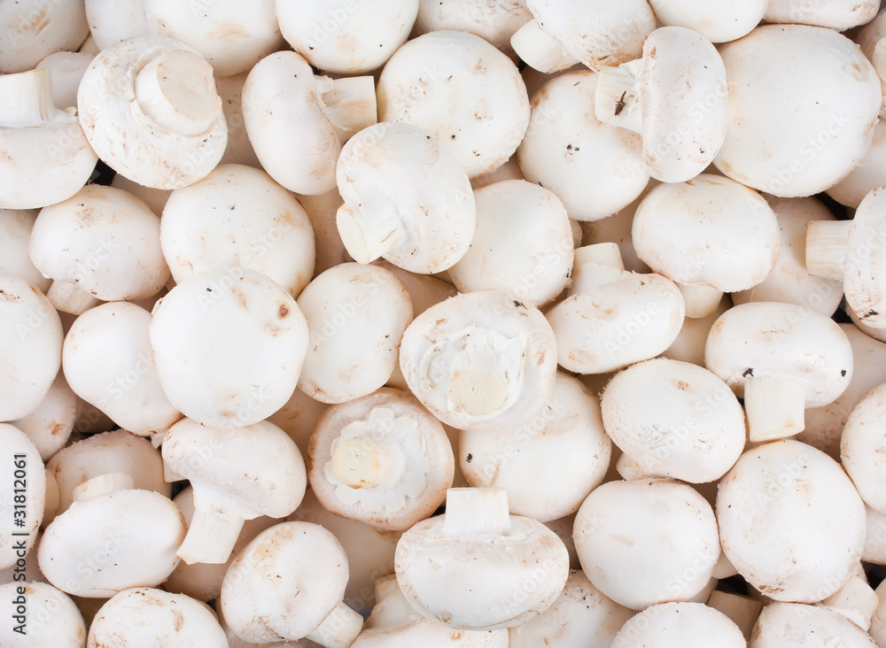 Background of fresh whole mushrooms Background of fresh whole mushrooms