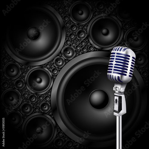 microphone/speaker