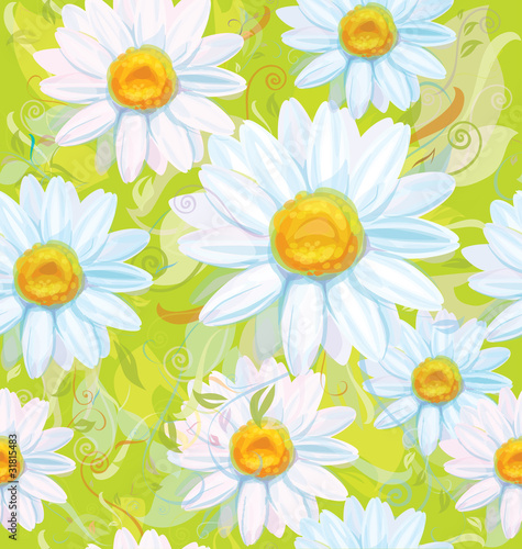 Seamless pattern of white camomiles.