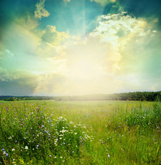 landscape