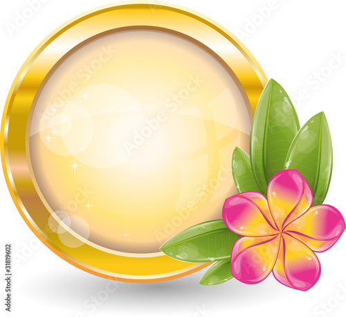 Gold circle frame with pink frangipani flower