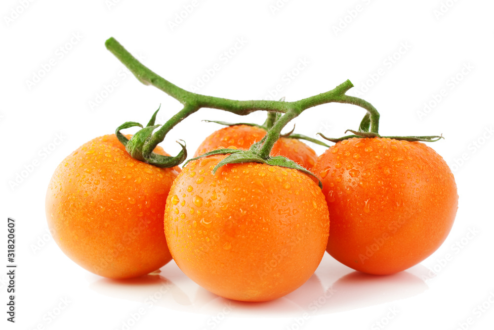 Cluster a tomato with water drops Cluster a tomato with water drops