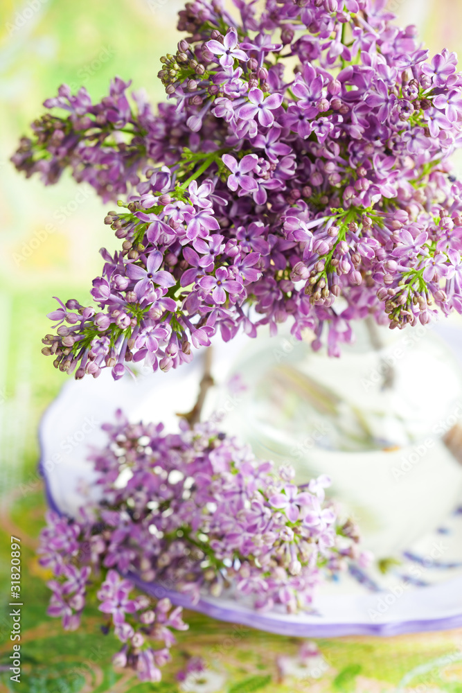 Obraz premium lilac