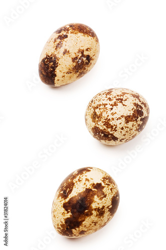 egg quail isolated on white background
