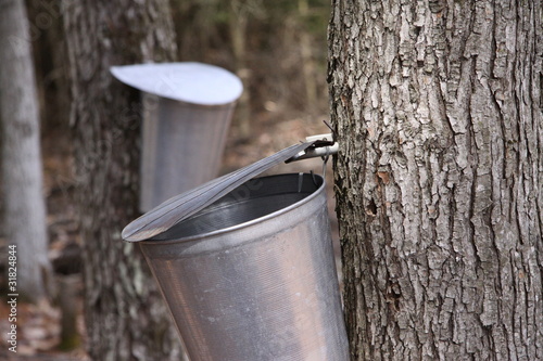 Sirop d’érable