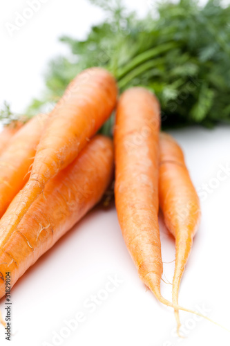 Liegende Karotten auf weiß
