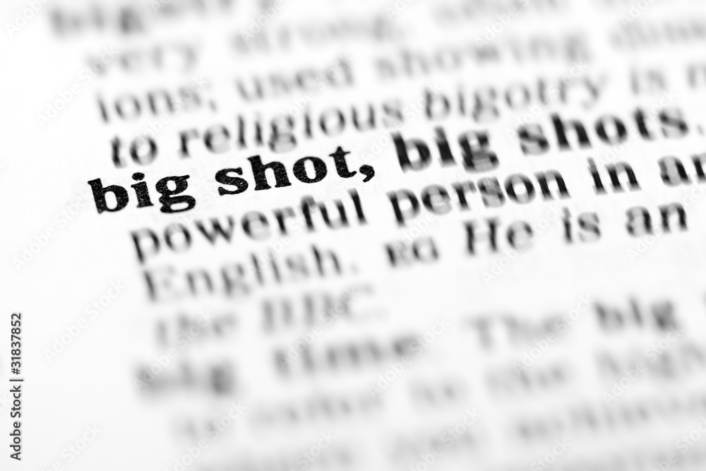 big shot (the dictionary project) big shot (the dictionary project)