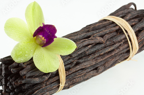 Quadro su tela orchidée sur gousses de vanille Bourbon, île de la Réunion