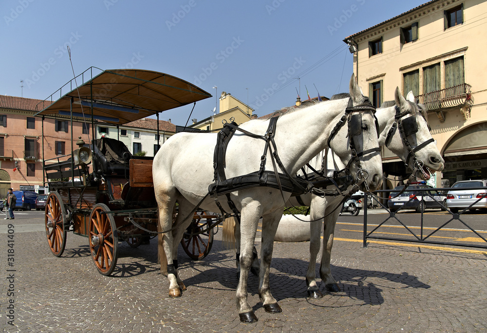 padova