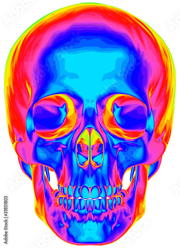 Thermal image of the human skull, isolated on white background