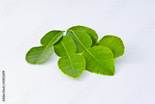 Kaffir lime leaves