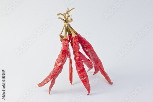 Bunch dried Hot Chili Peppers Isolated on White Background