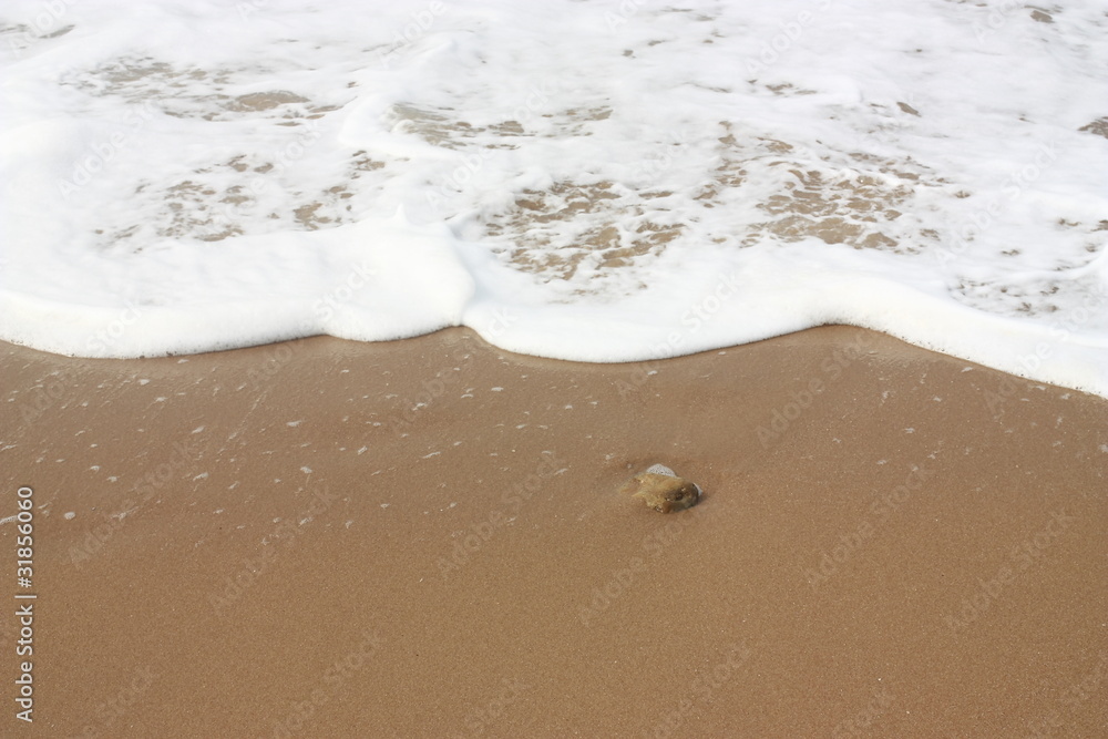 Un galet à la plage