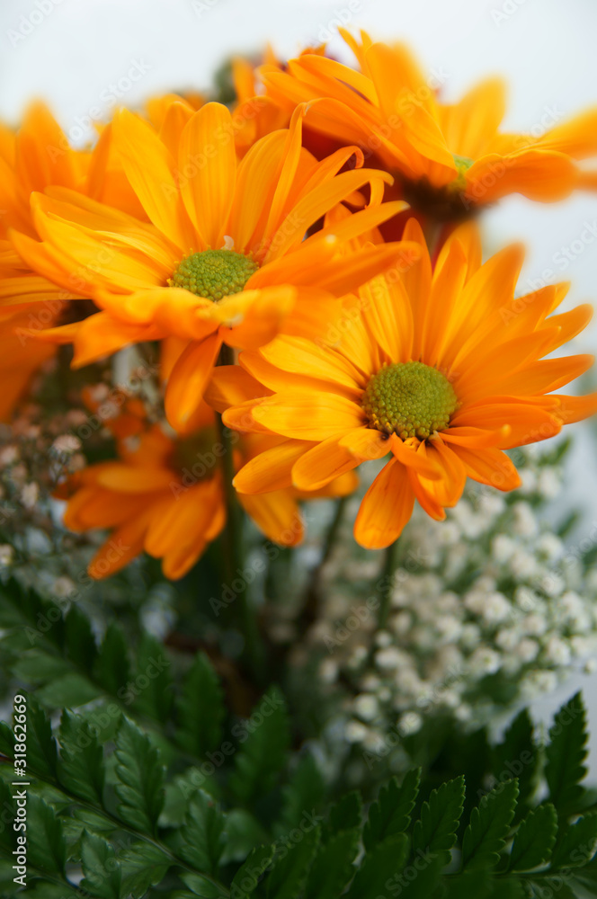 Fleurs Fleurs