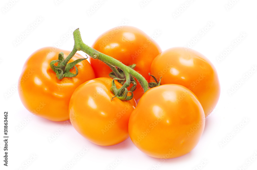 tomato tomato