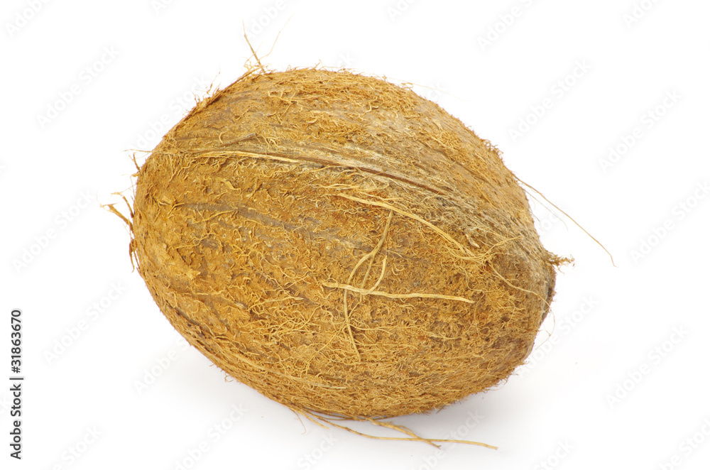 coconut coconut