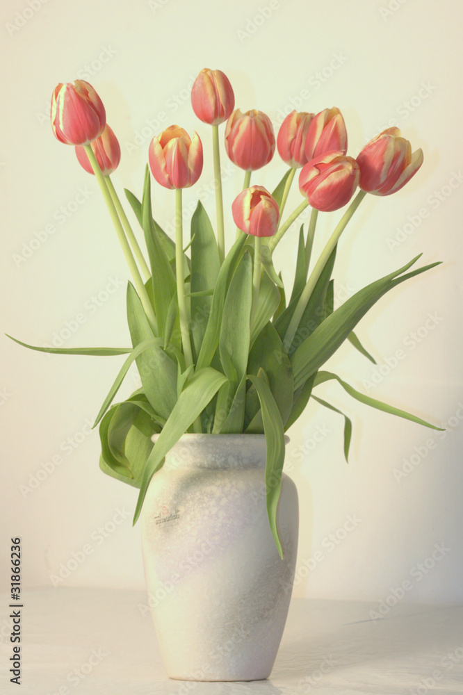 Obraz premium Tulipany