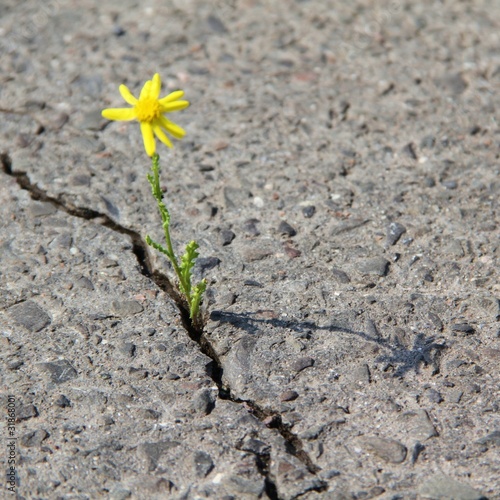 gebrochene Strassendecke